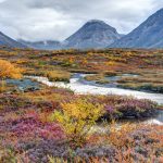 Цікаві факти про тундру