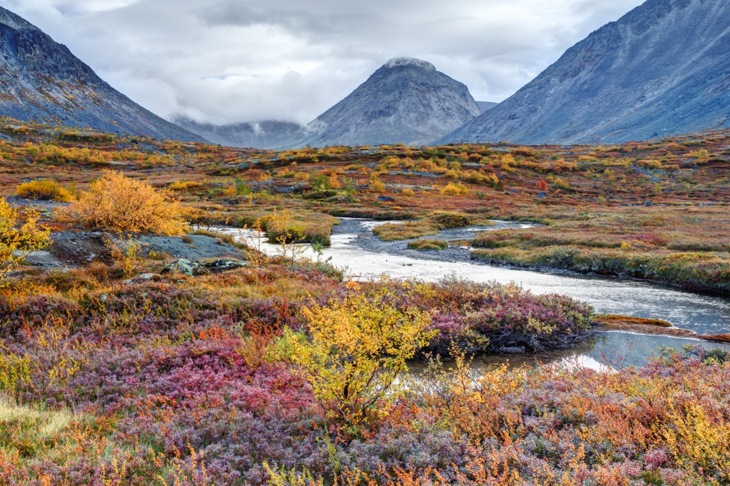 Интересные факты о тундре