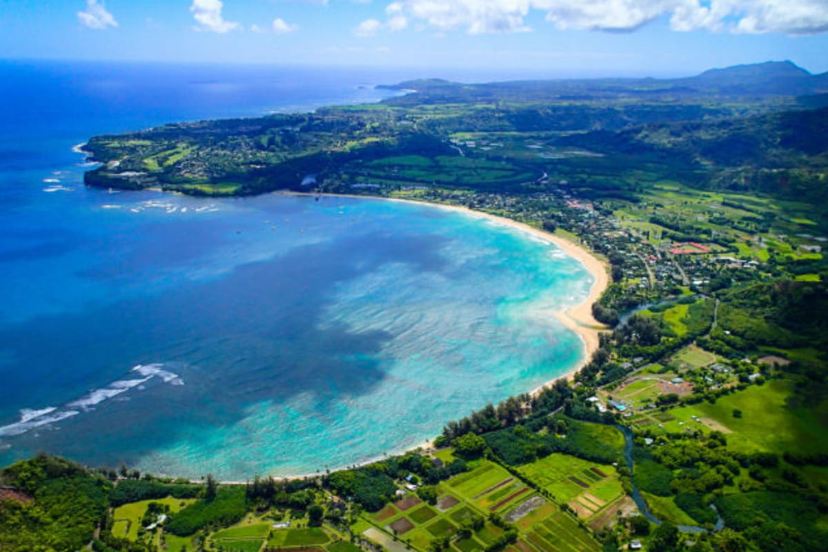 Interesting Facts About Bays