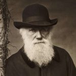 Цікаві факти про Дарвіна