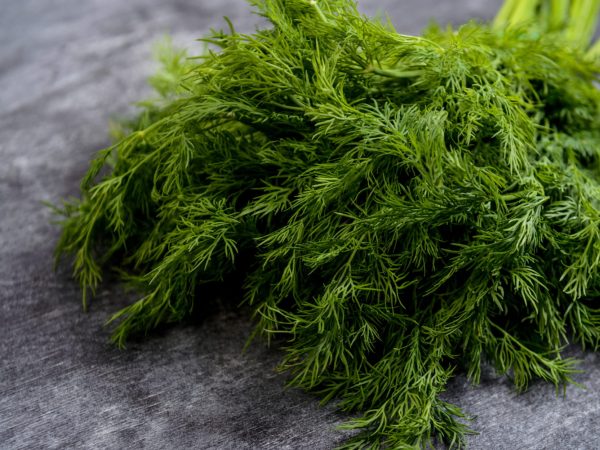 Interesting Facts About Dill