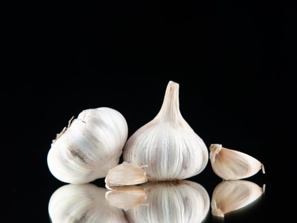 Цікаві факти про часник