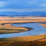 Interesting Facts About Plains