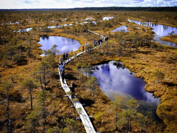 Fascinating Facts About Polesia