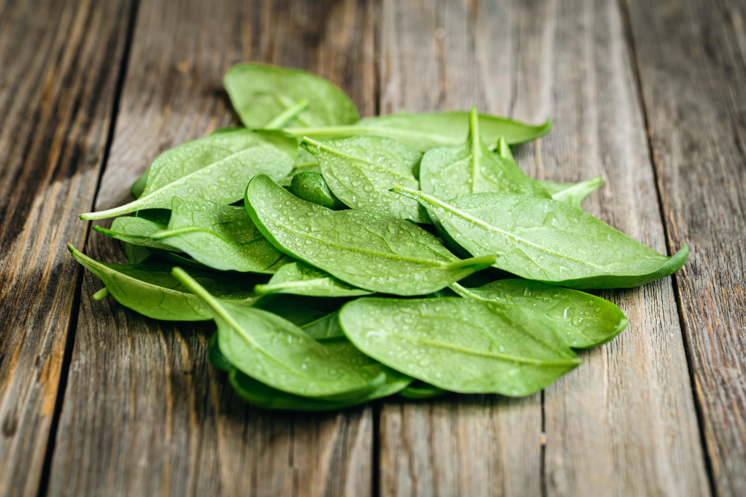 Interesting Facts About Spinach