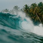 Цікаві факти про цунамі