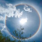 Interesting Facts About Halo