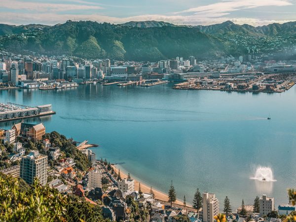 Цікаві факти про Веллінгтон