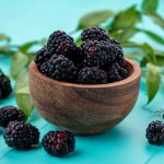Interesting Facts About Blackberries