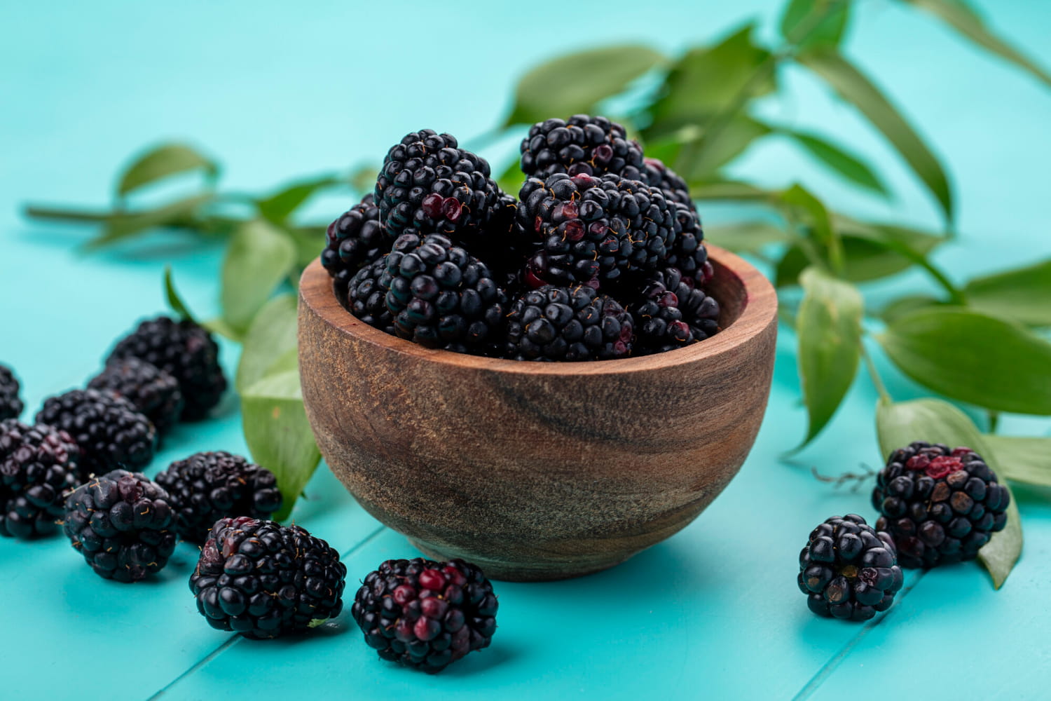 Interesting Facts About Blackberries