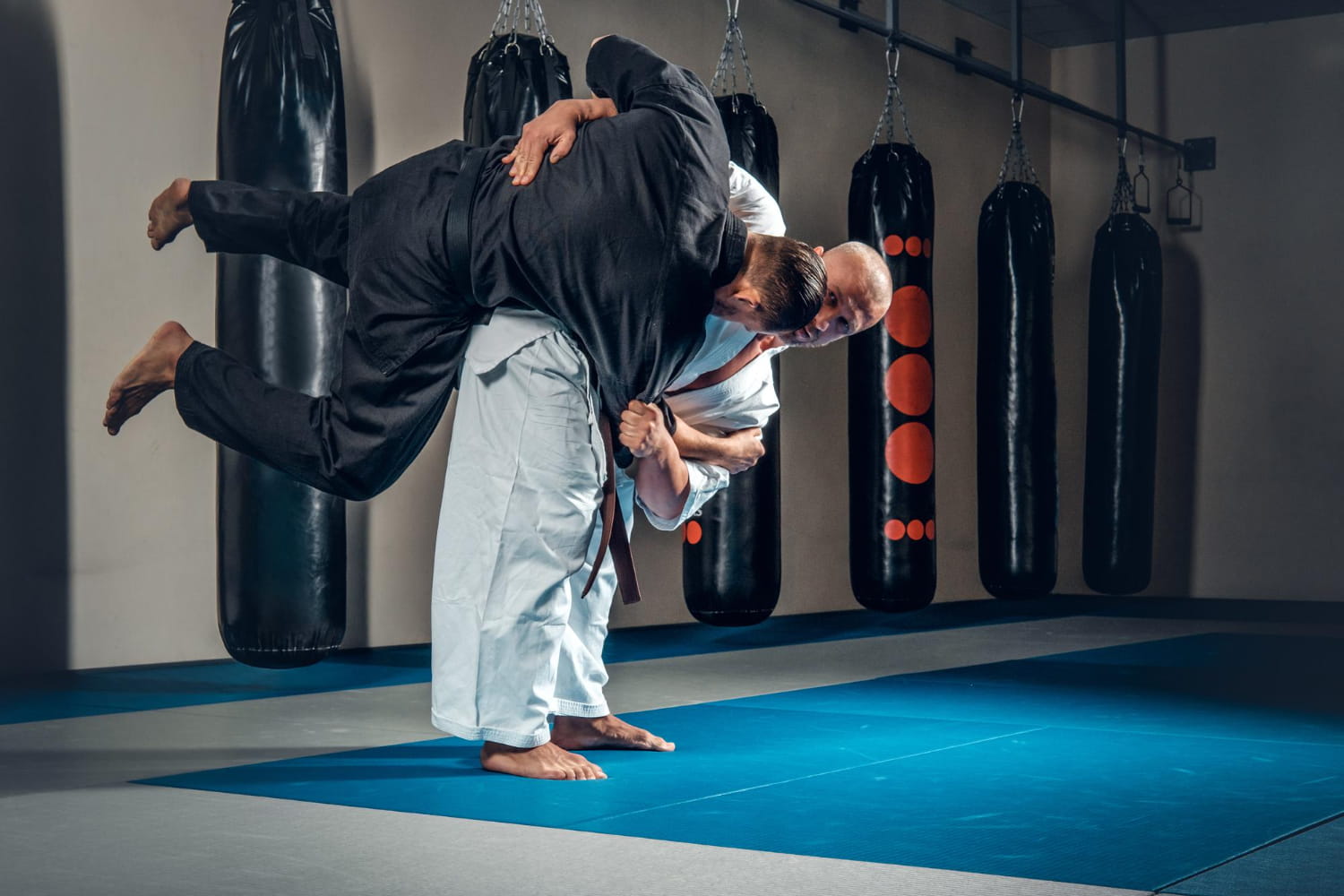 Самбо туралы қызықты деректер