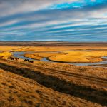 Ciekawostki o stepach